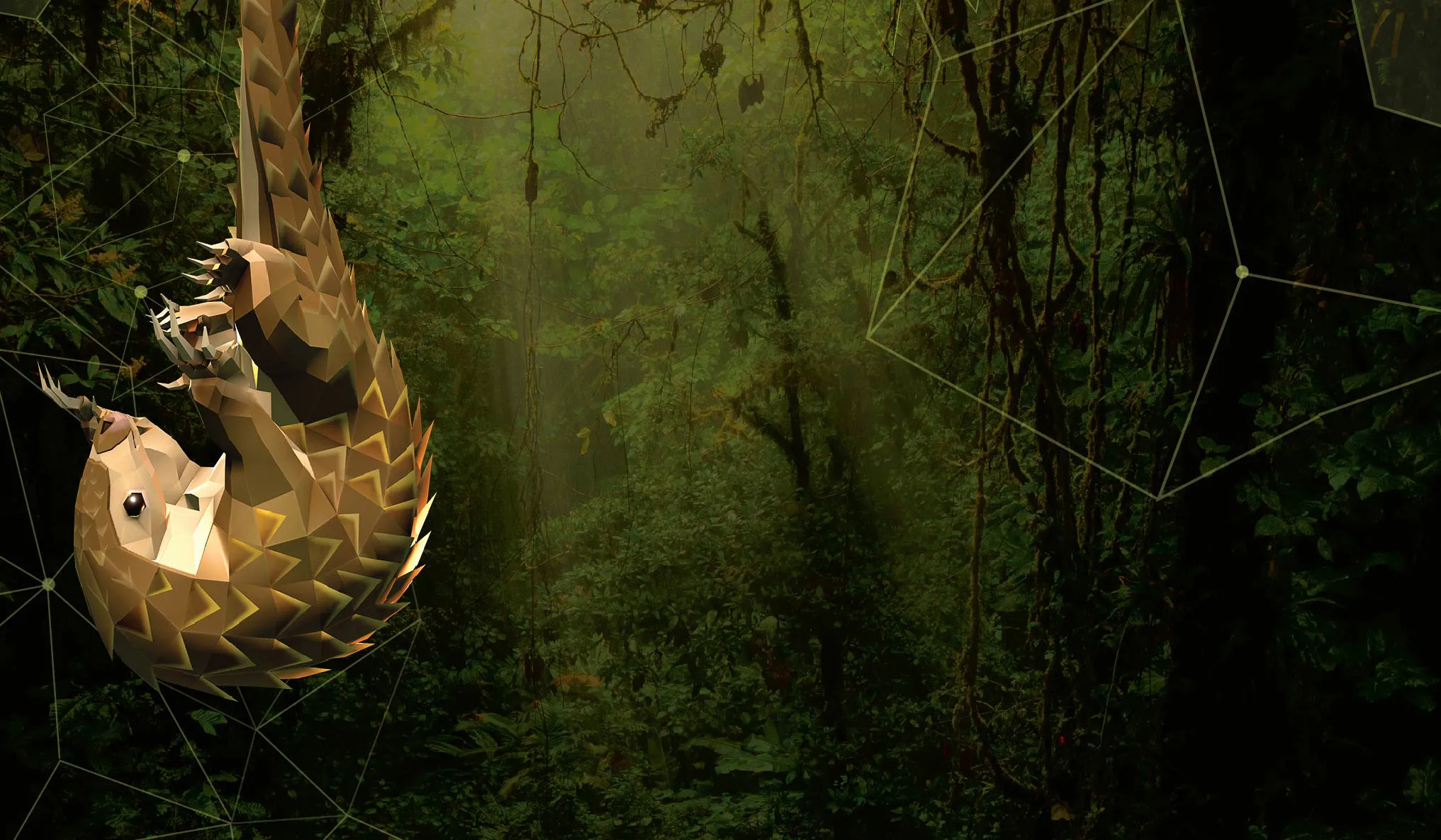 Into the Wild