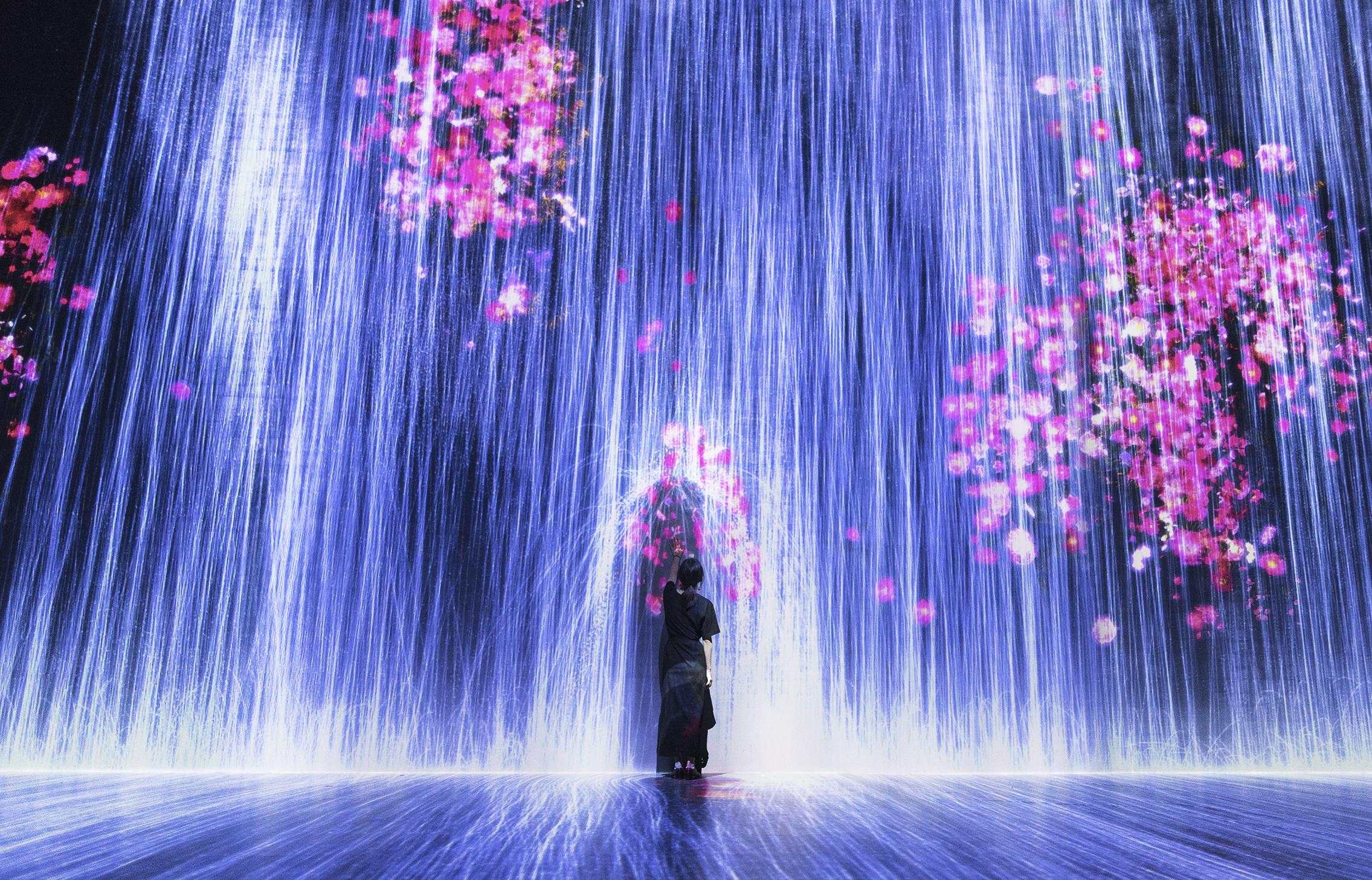 teamLab installation, Future World