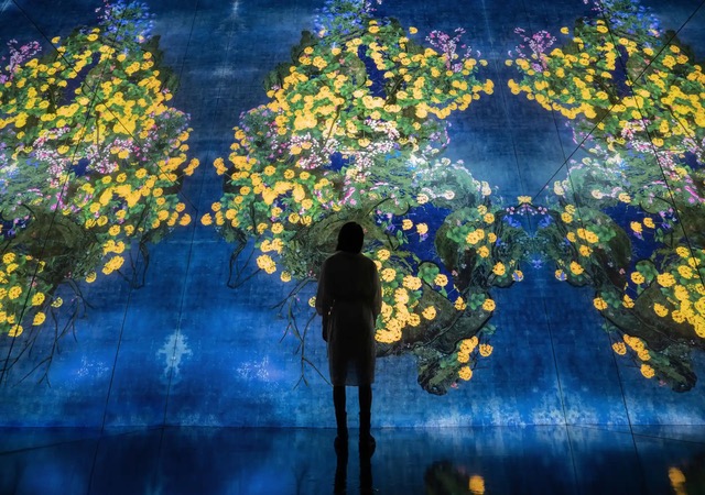 teamLab continuous life installation