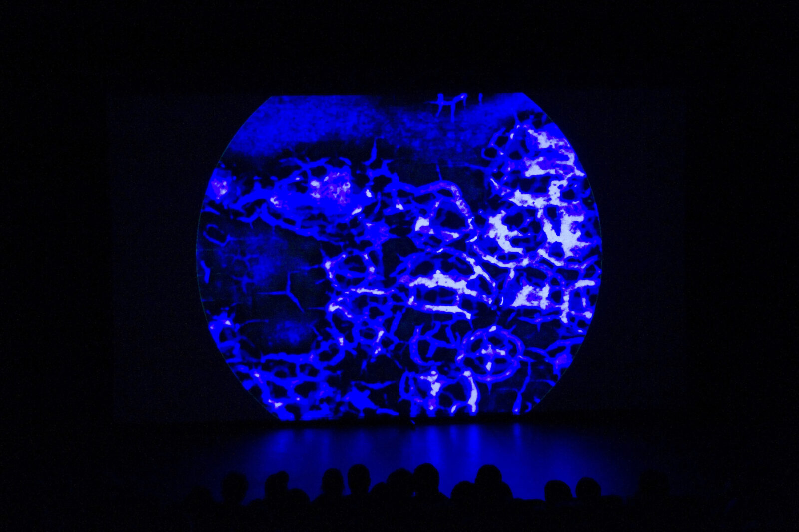 transmediale.10 performance programme